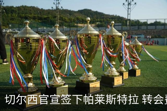 切尔西官宣签下帕莱斯特拉 转会费超5500万欧签约7年